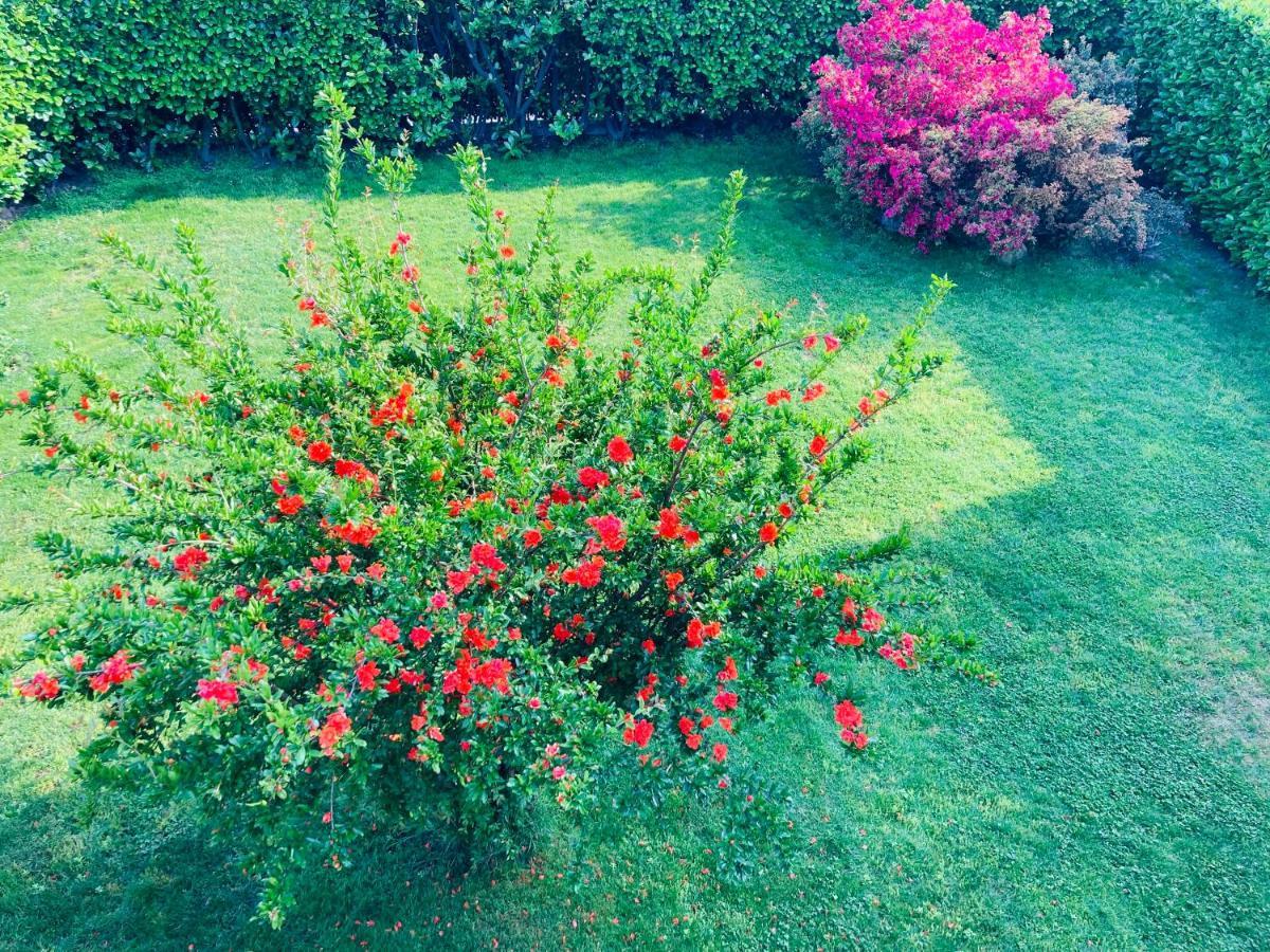 Appartamento Con Giardino Al Melograno Locarno Dış mekan fotoğraf